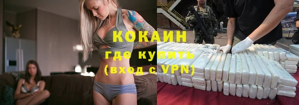 соль ск Алексин