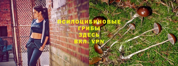 прущий лед Костерёво
