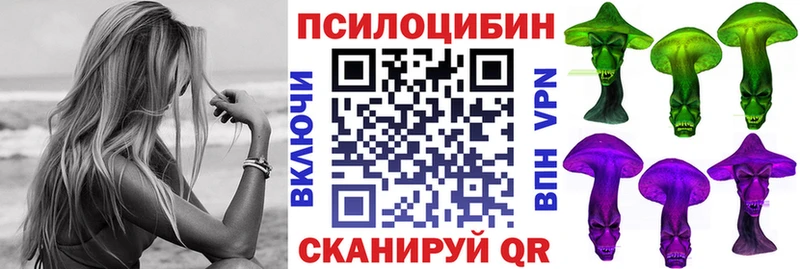 Галлюциногенные грибы Psilocybe  Ковдор 